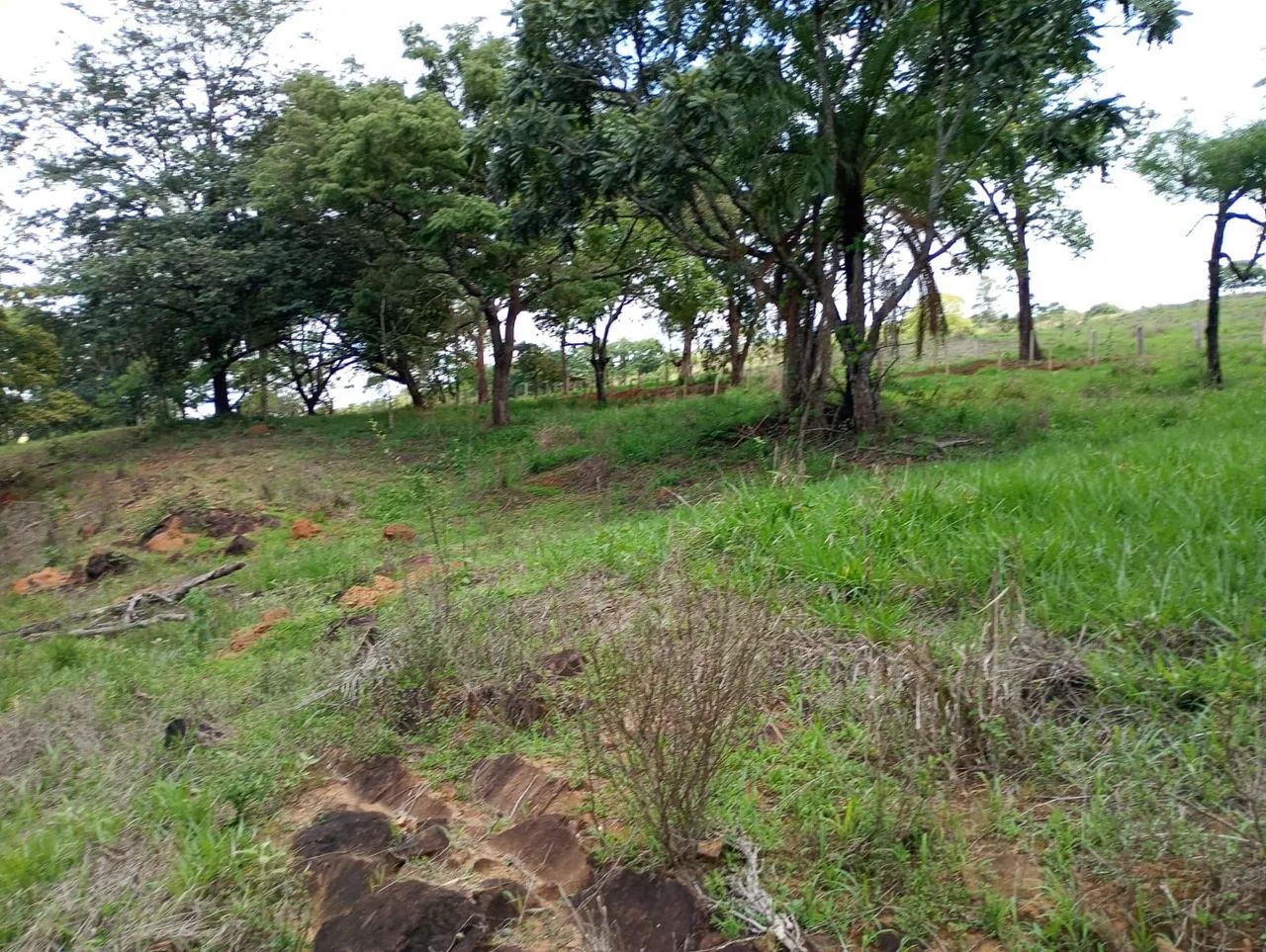 Terreno módulo rural em juatuba  - Foto 5