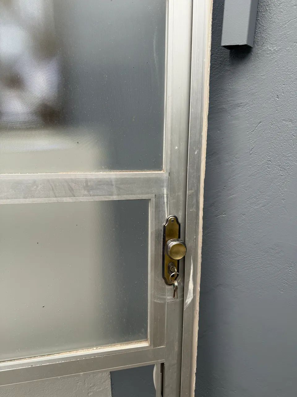 Porta metalica com vidro - Foto 2