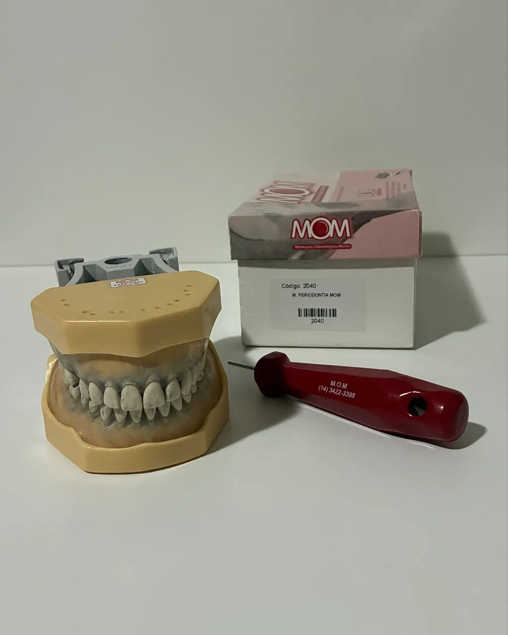 Manequim de periodontia MOM código 2040