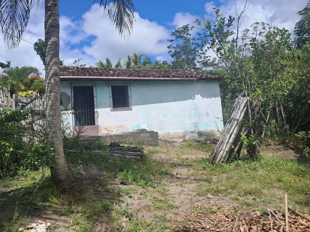 Vendo Sitio - Nazaré das Farinhas  - Foto 2