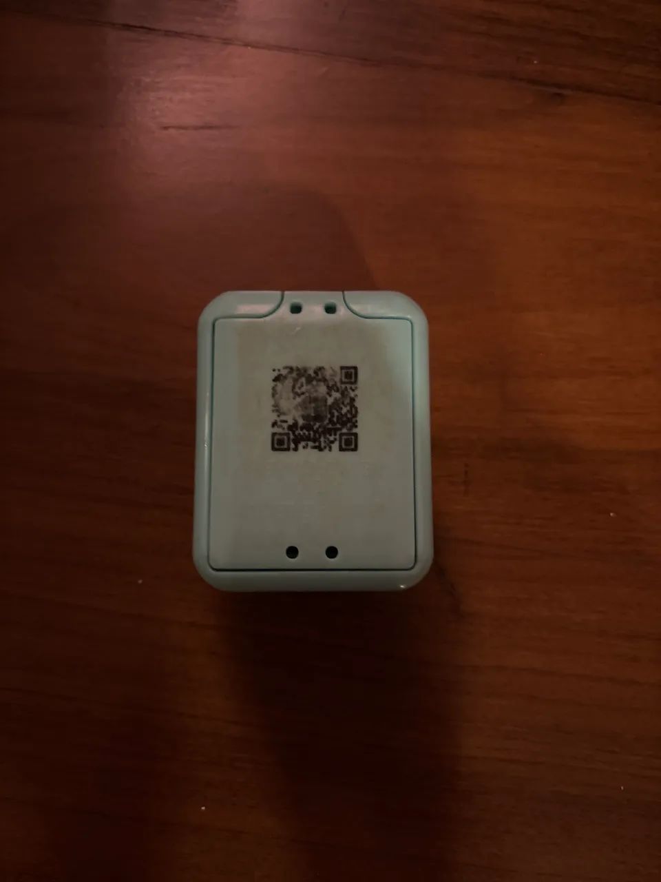 Bitzee - Foto 3