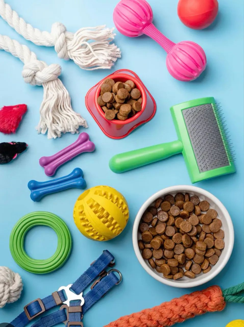 Artigos e Acessórios para Pet Shop  - Foto 4