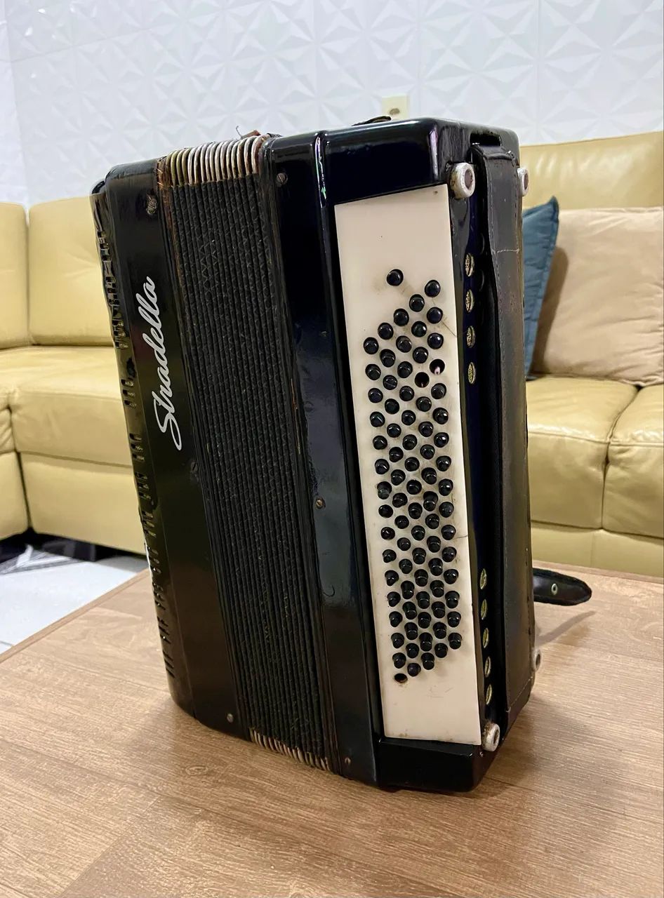 Acordeon Sanfona  - Foto 2