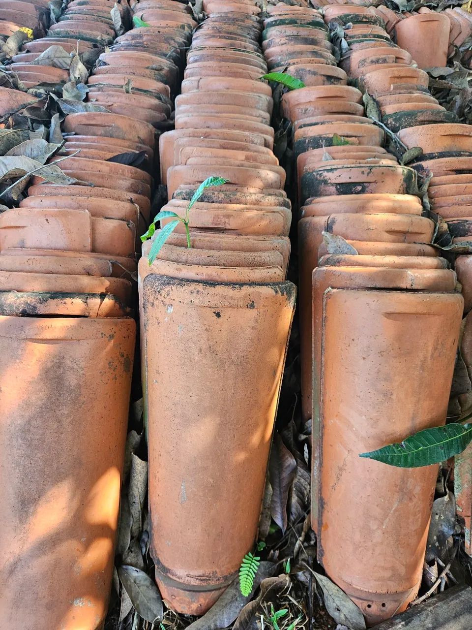 telhas de amianto , francesa, colonial. - Foto 3