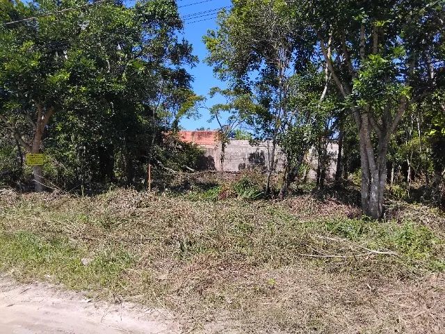 02 TERRENOS COM 12M DE FRENTE E 21M DE FUNDOS - Foto 2