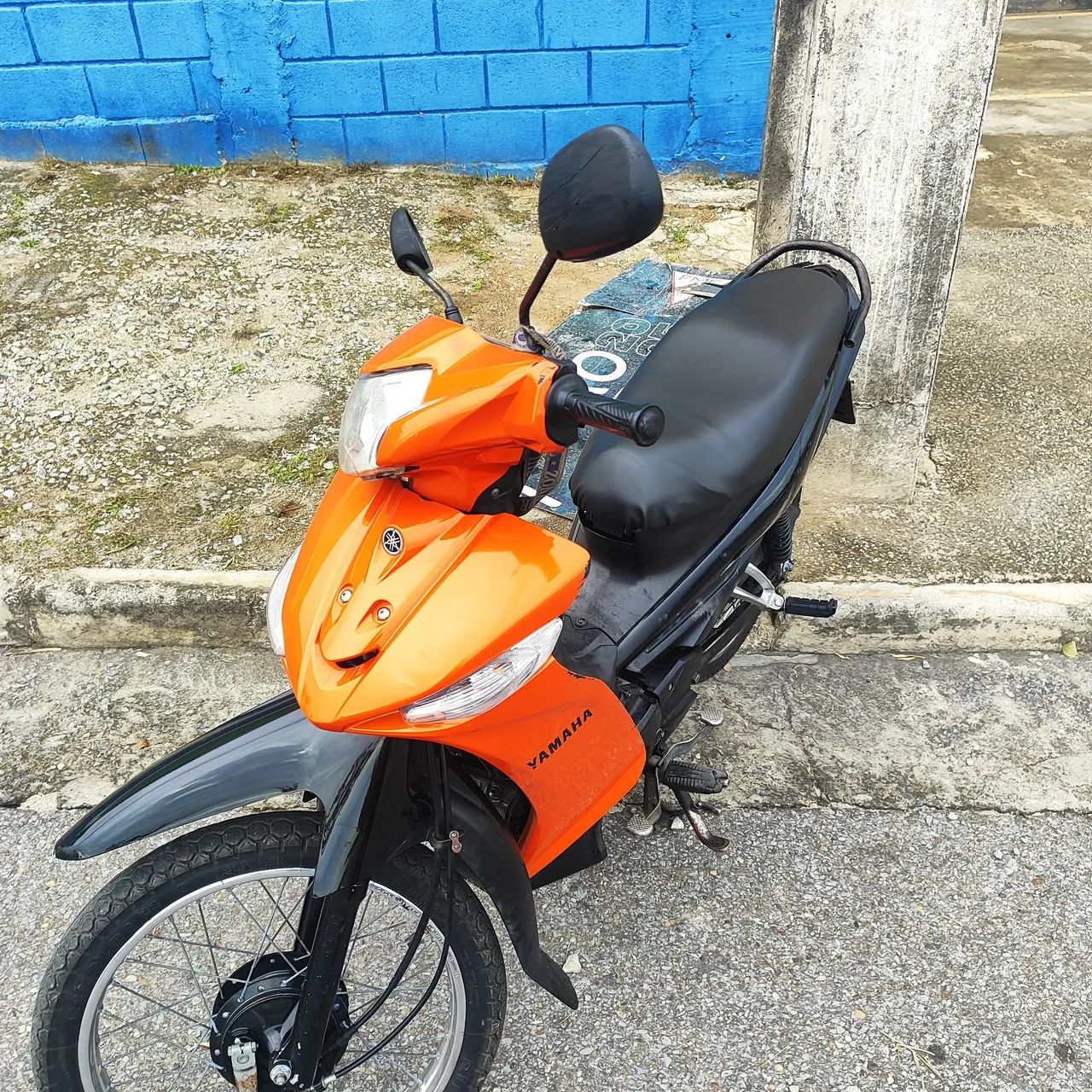 Cripto  - Foto 3