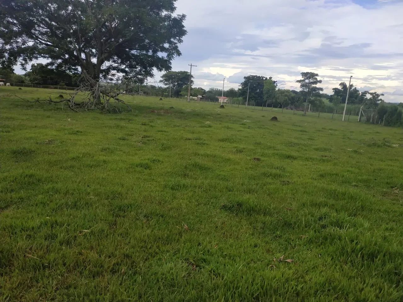 Terreno Porangaba/SP