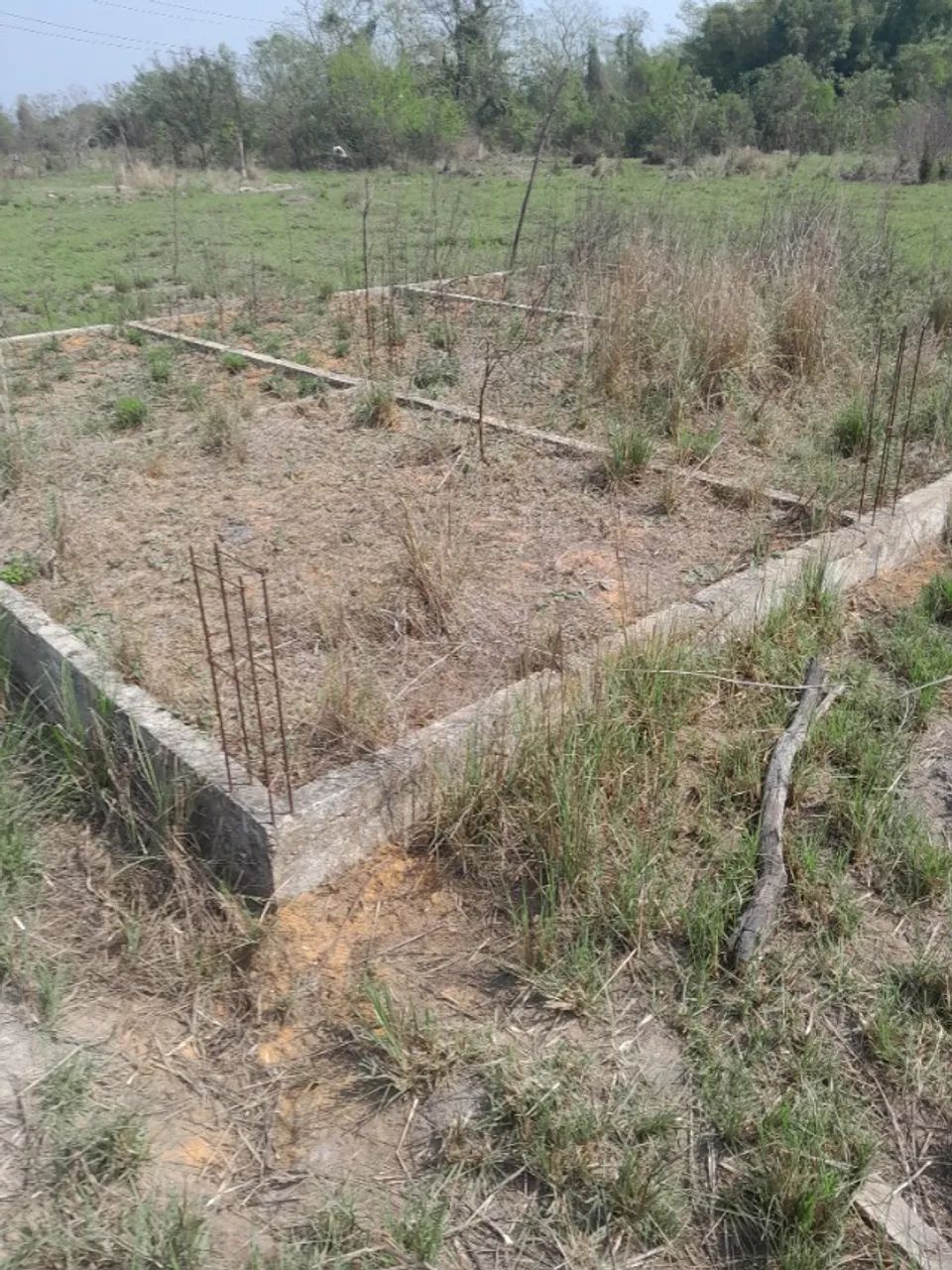 Terreno 12x36m2  com alisceso . - Foto 3