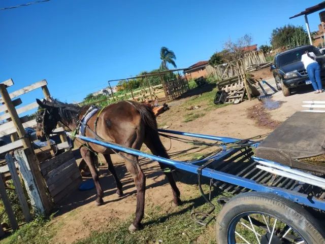 Charrete  - Foto 2