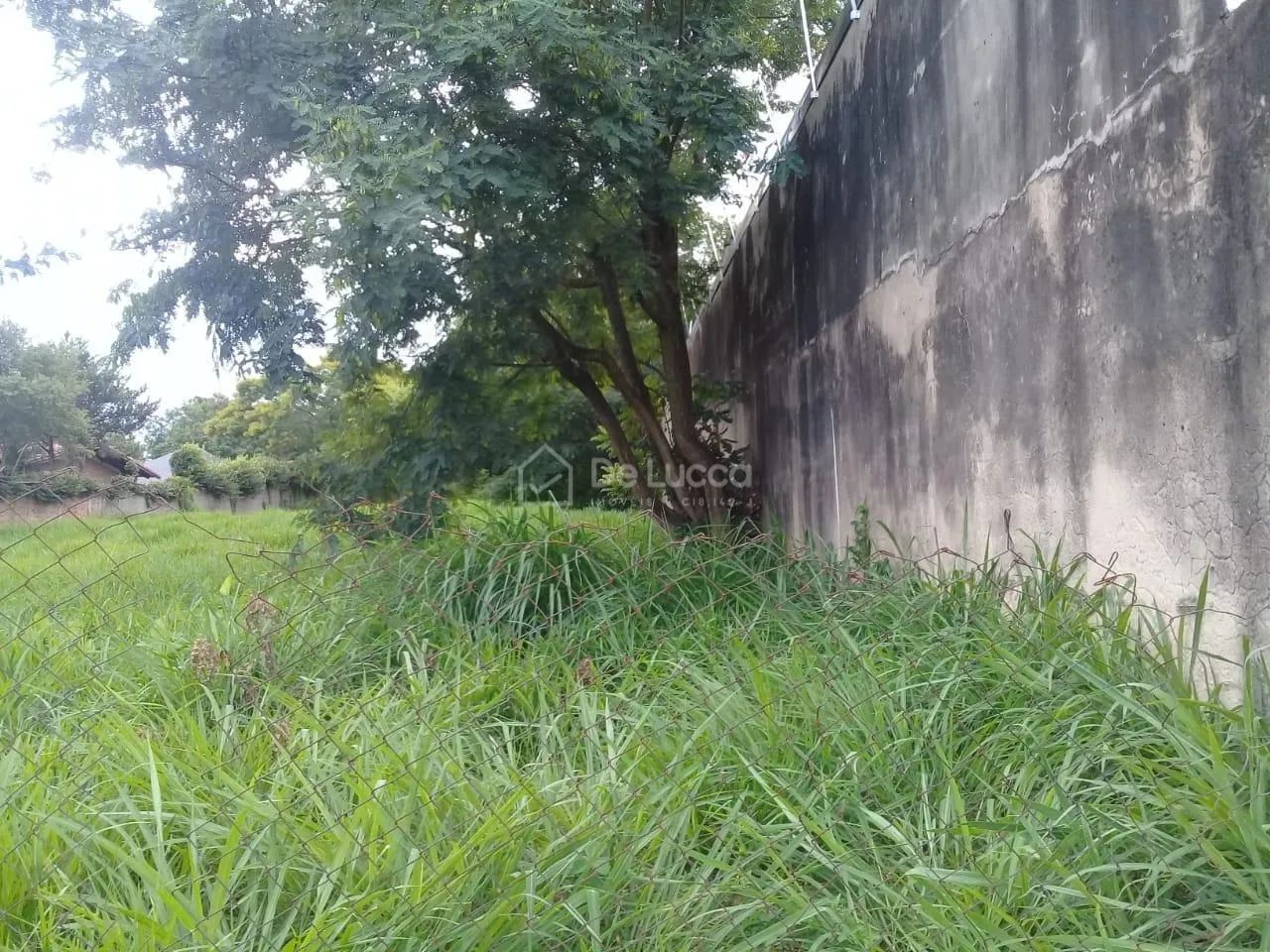 terreno - Parque Taquaral - Campinas - Foto 4