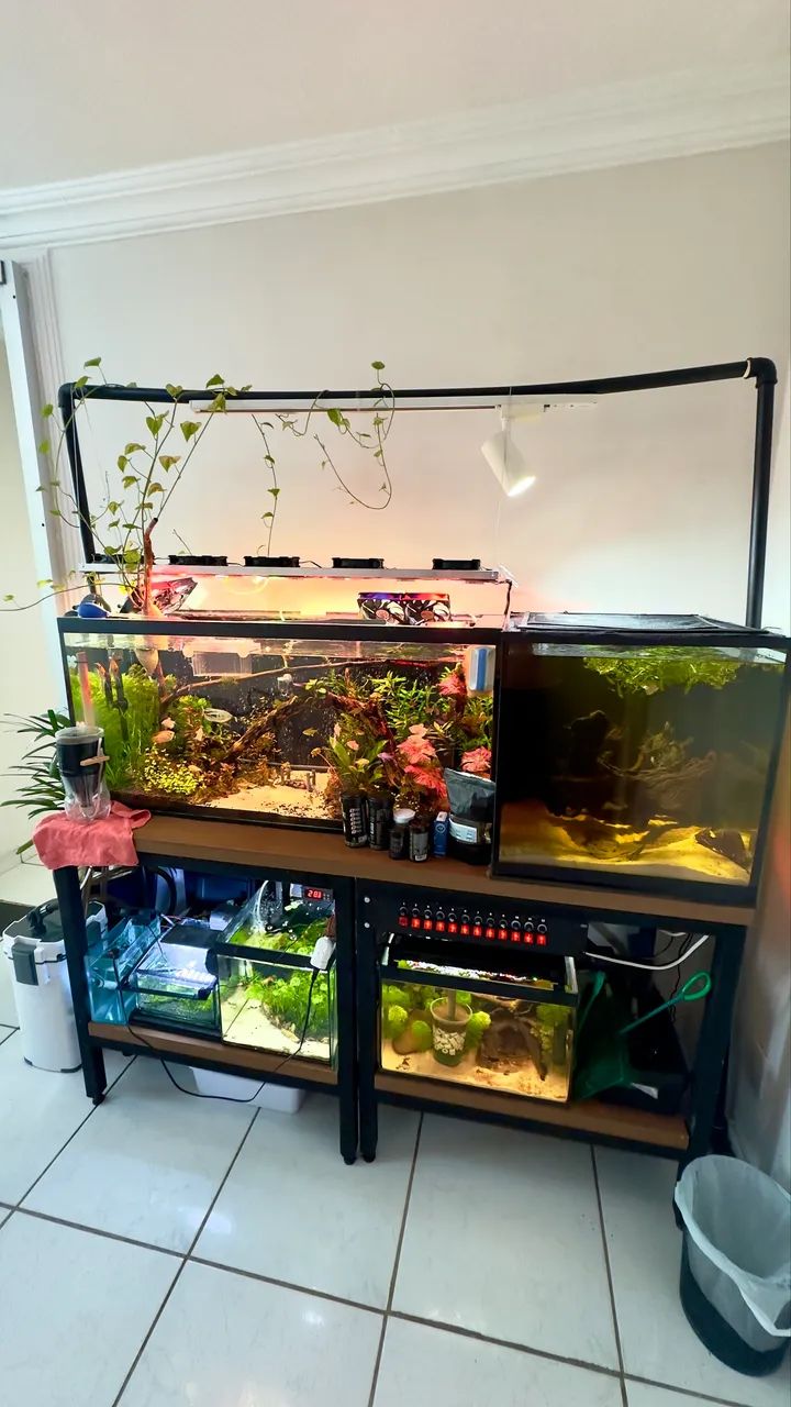 Apartamento a venda Terra Nova 1 - Foto 4