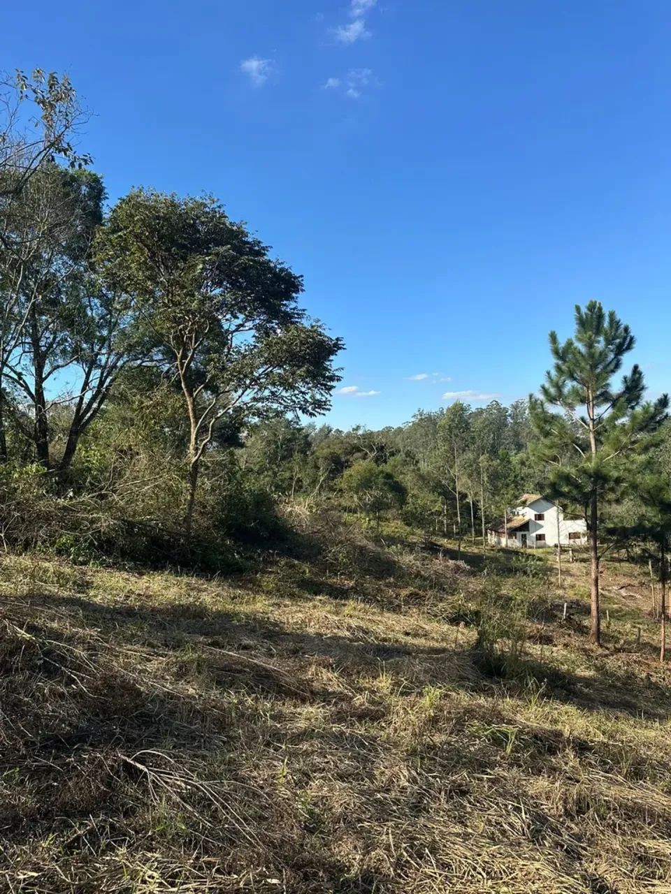 Construa em Ibiúna: Terreno 500m² em Região Promissora - Foto 5