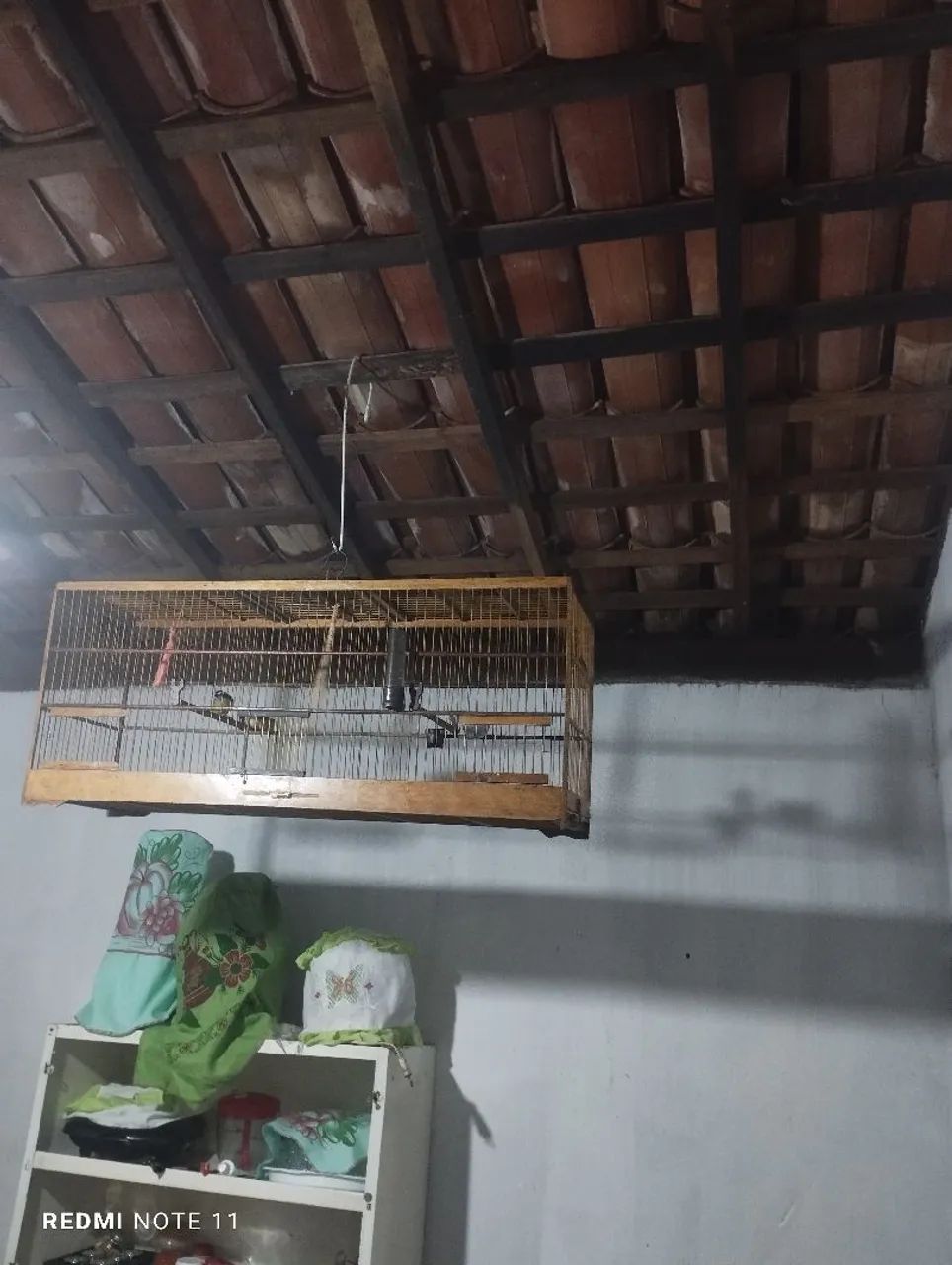 Cuida No Comércio - Foto 3