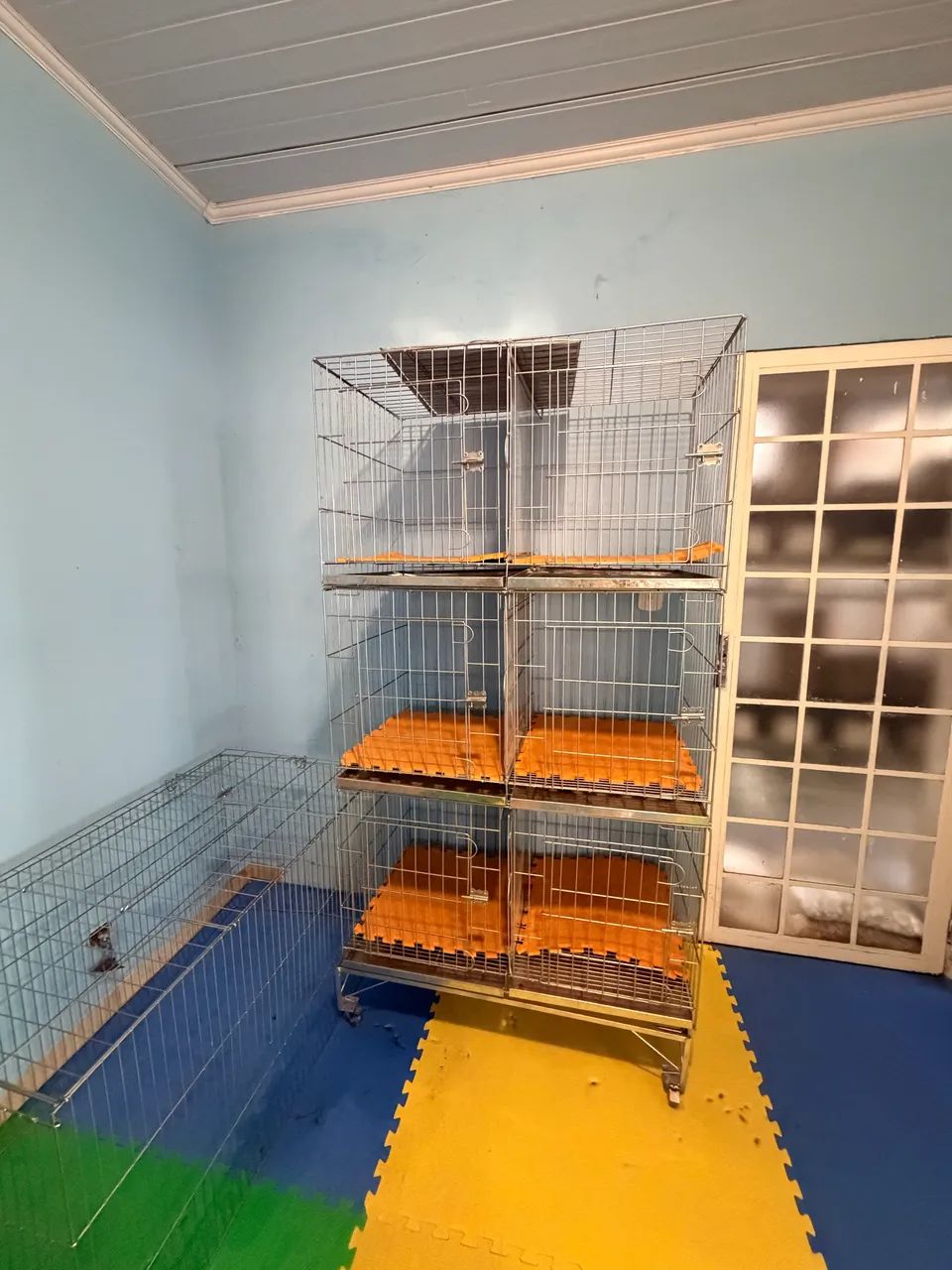 Pet shop - Foto 5