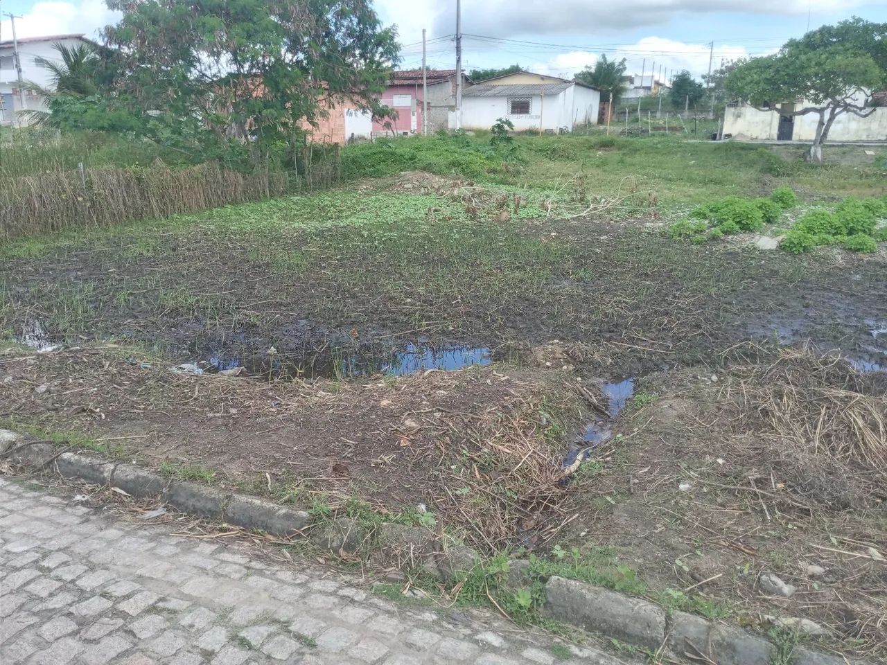 Oportunidade - Foto 3