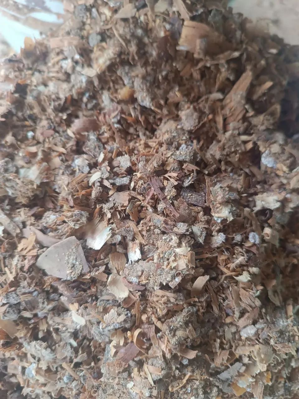 Adubo/Esterco de galinha.
