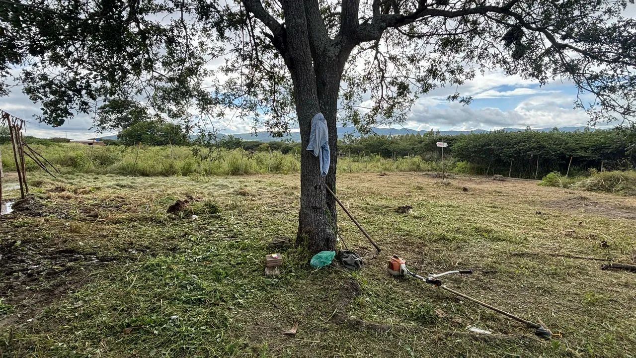Terreno bezerros - Foto 2