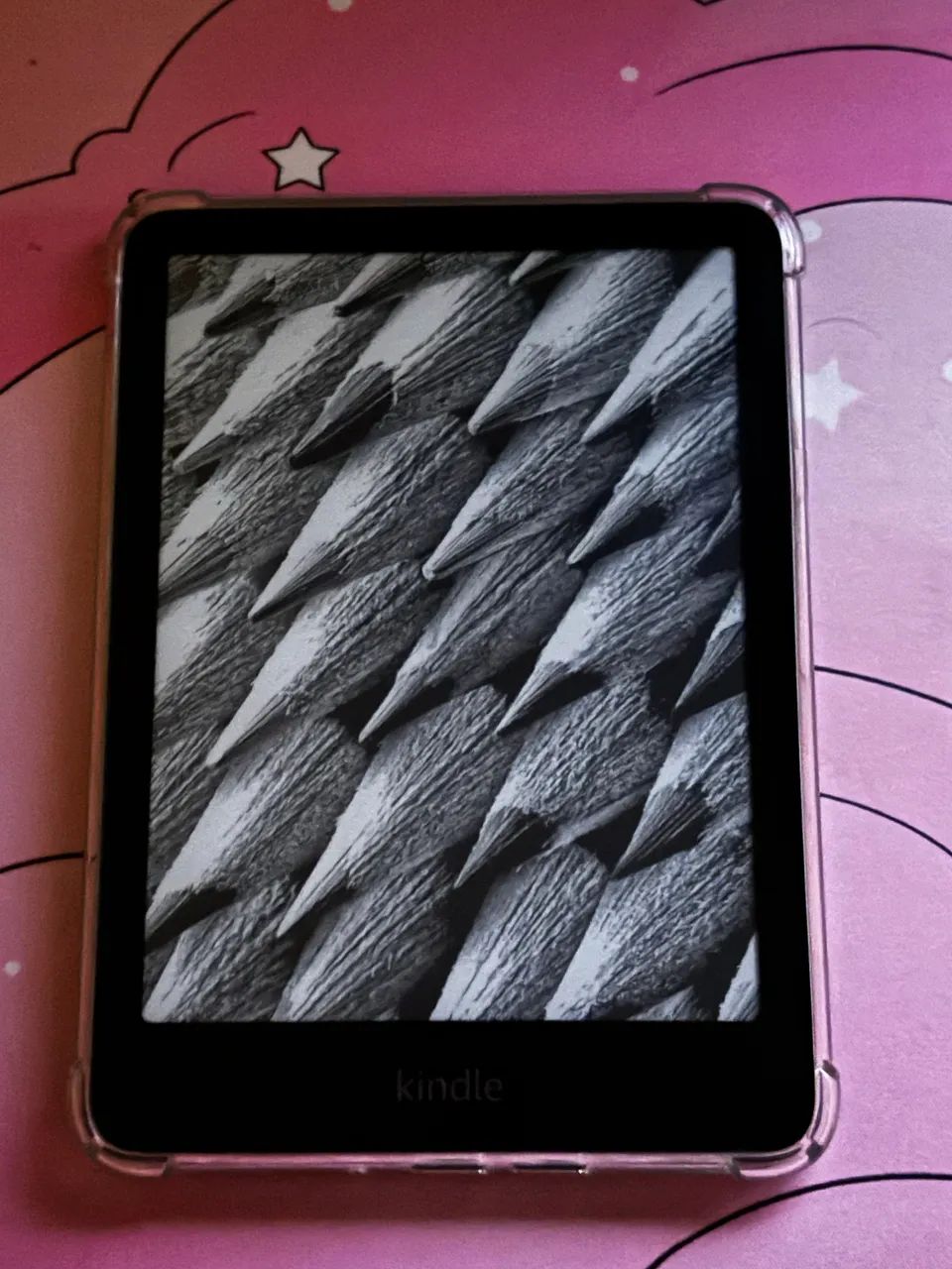 Kindle Paperwhite 12 (NOVO!)