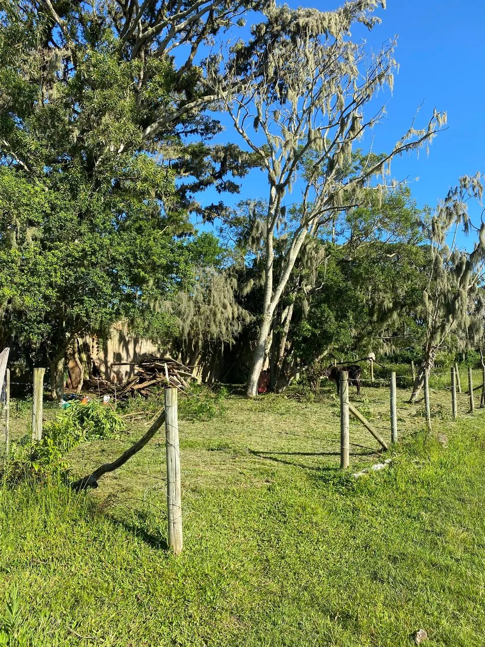 Terrenos à venda em Guaiuba, Imbituba - SC - Foto 3