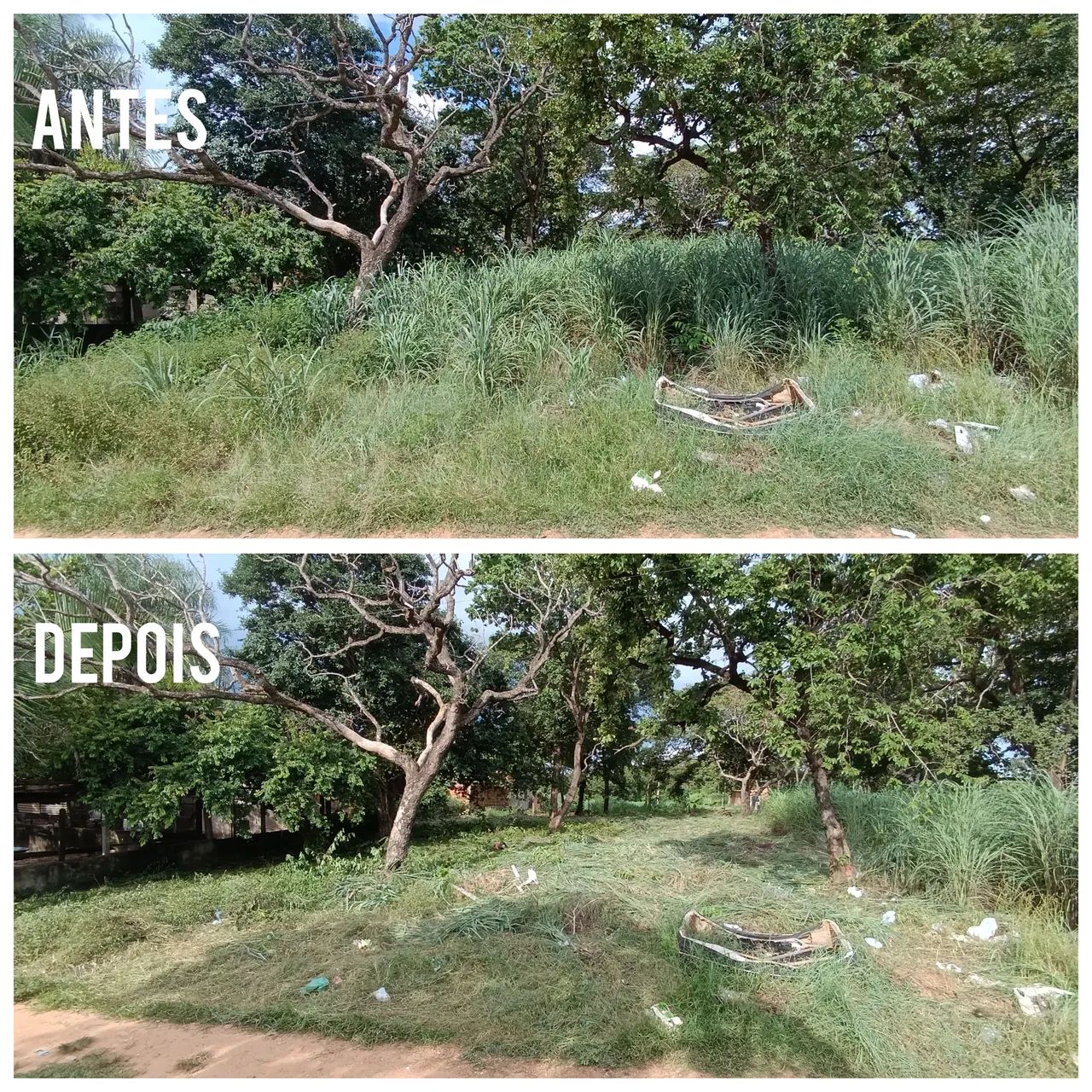 Roçada de terrenos/ Roçador - Foto 5