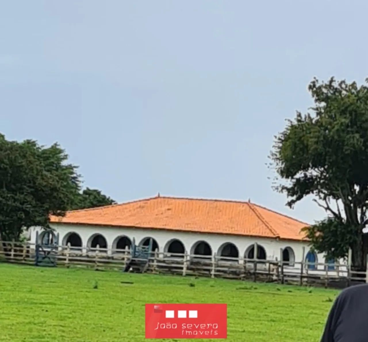 Fazenda para Venda em Alenquer - Foto 4