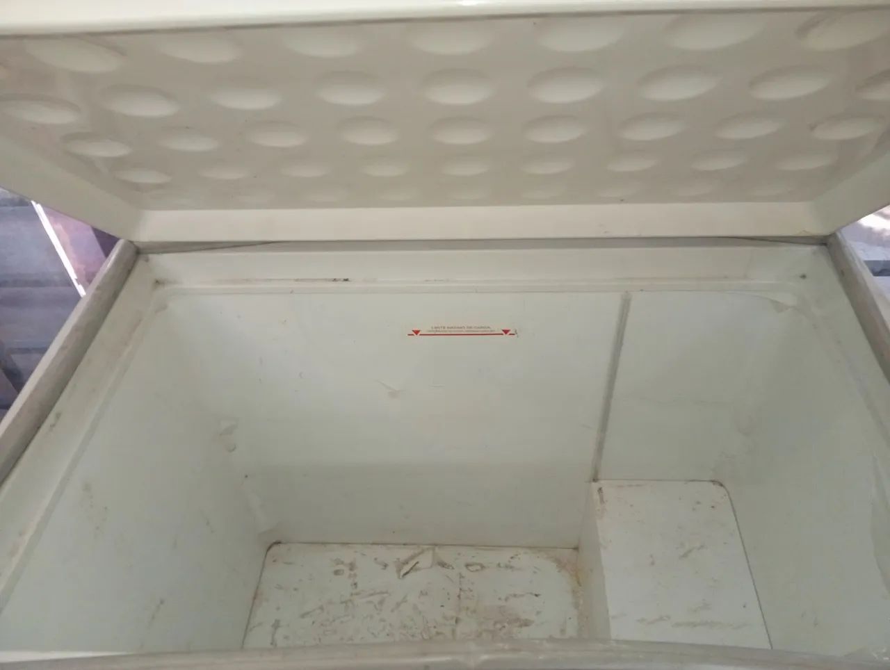 Frizer Horizontal 300L - Foto 3