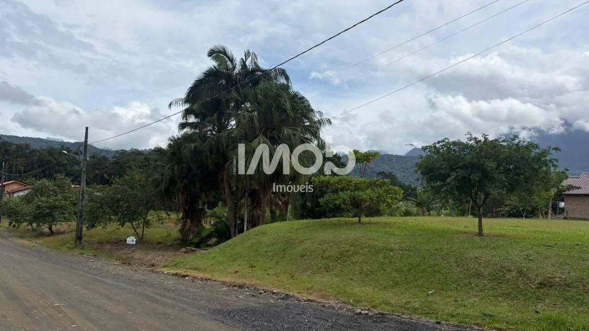 LOTE/TERRENO, SCHOREDER - Foto 5