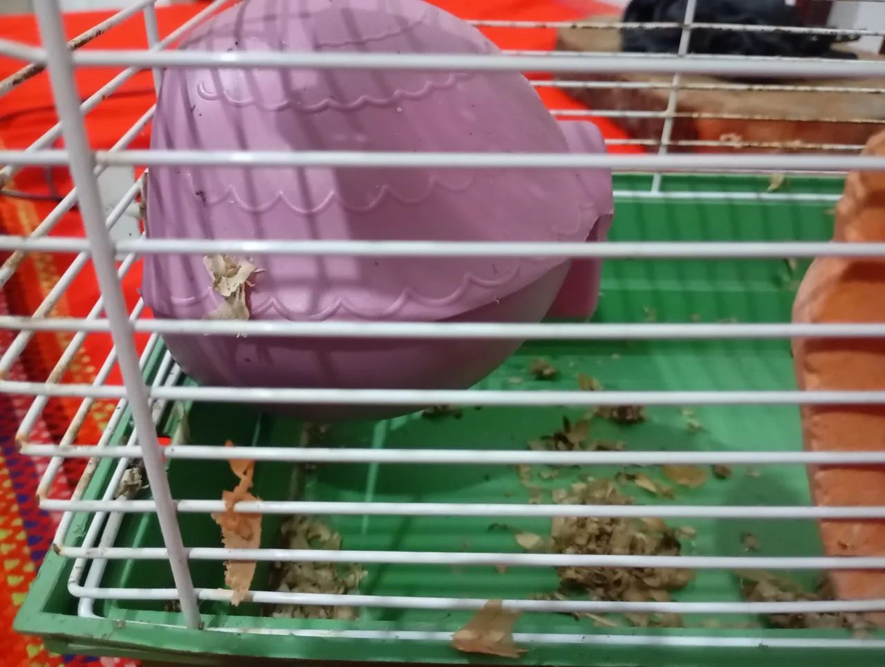 Vendo gaiola de hamster - Foto 3