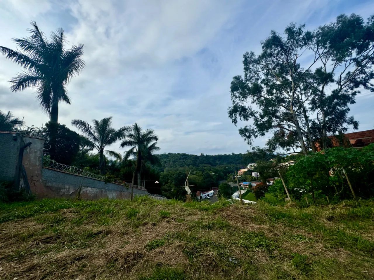 Terreno no Parque Alto - Foto 4