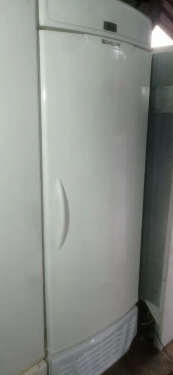 Freezer vertical metalfrio.
