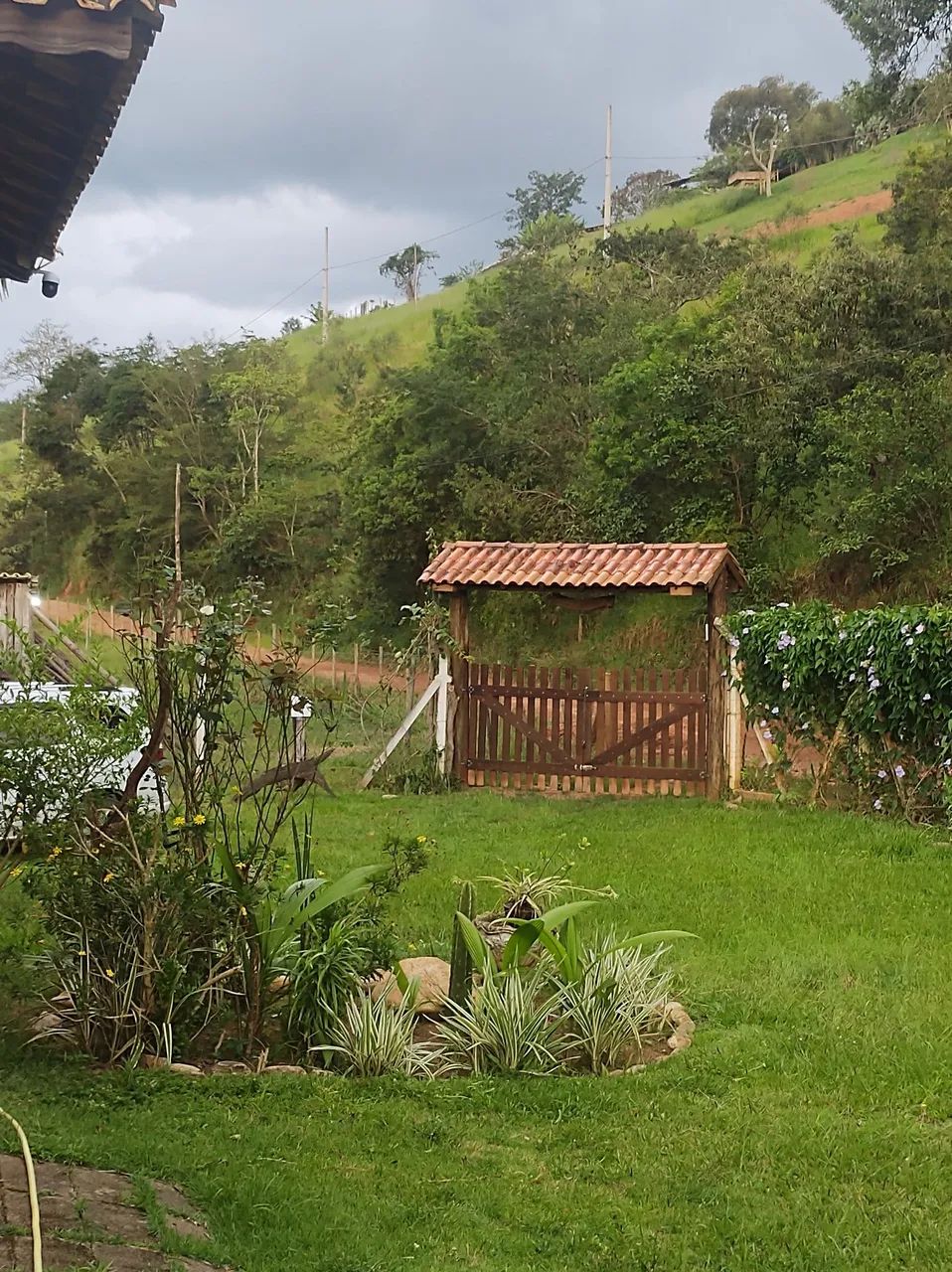Foto - Cunha - 