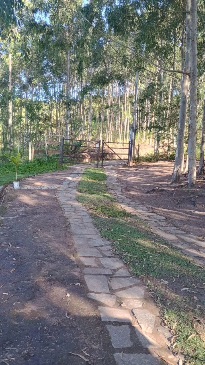 Sítio na Serra de Bananeiras -0,8 ha - Foto 4