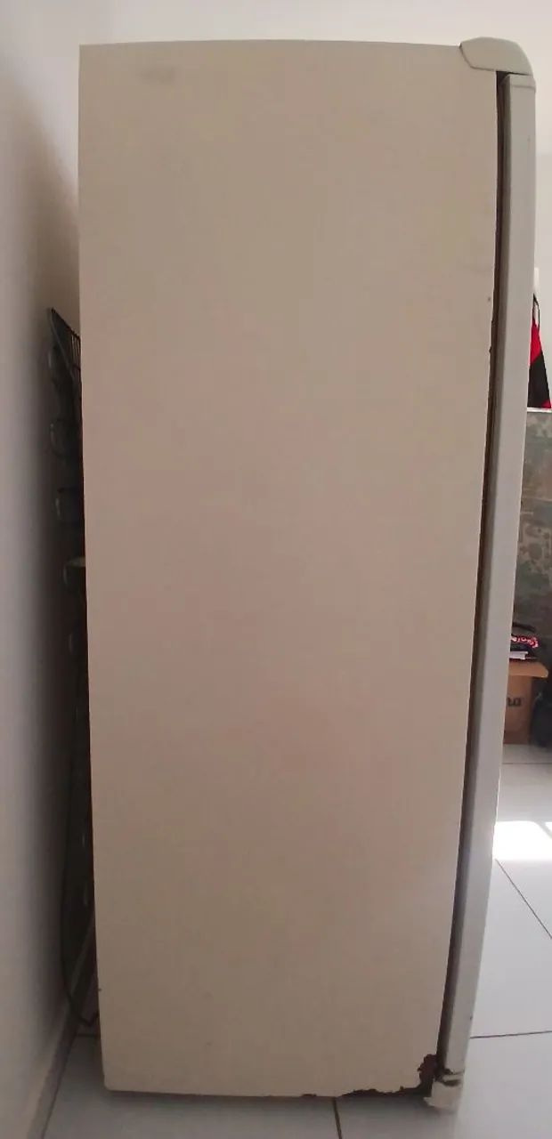Vendo Freezer vertical - Foto 4