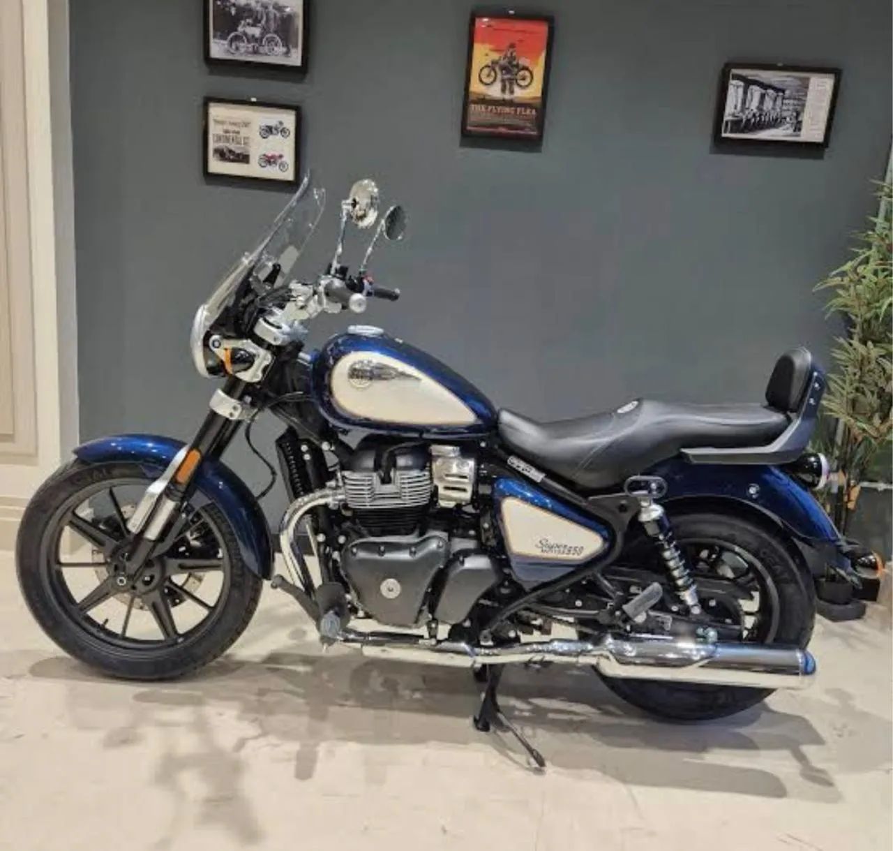 Super Meteor 650cc