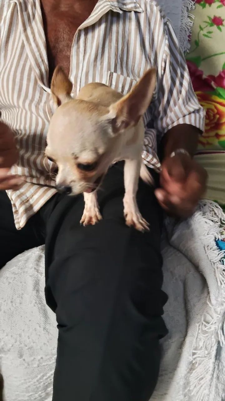 A procura de uma namorada! - Foto 4