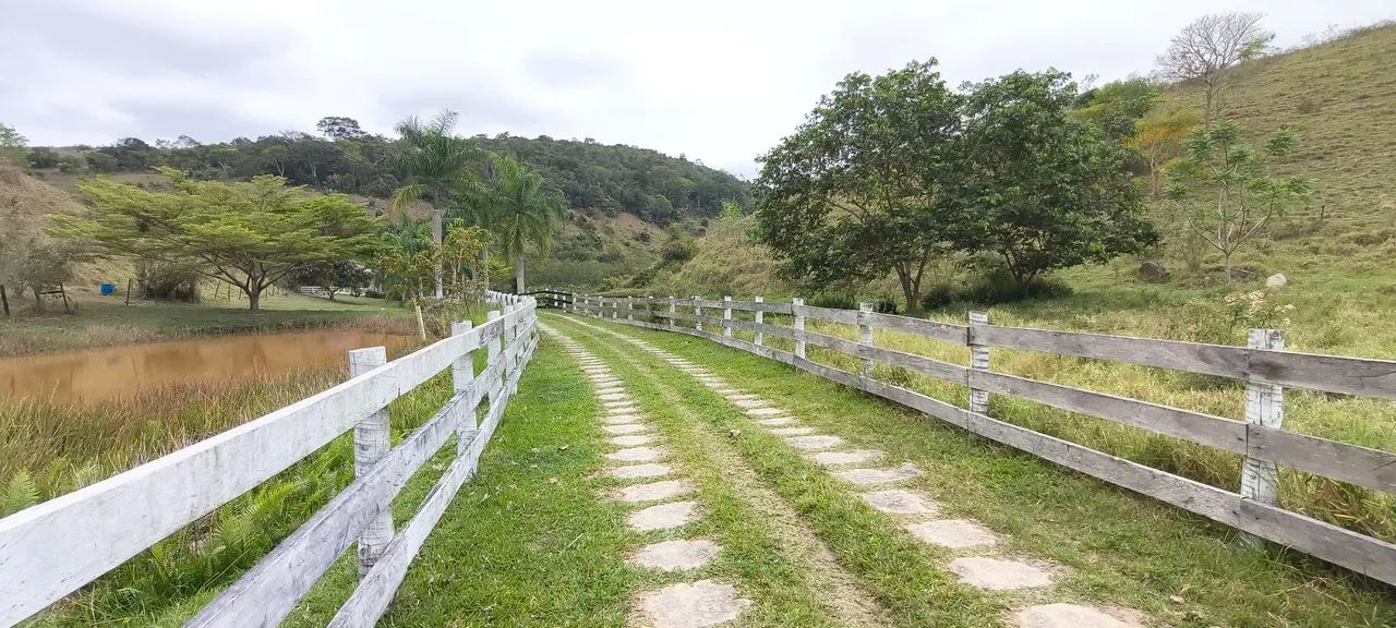 FAZENDA  - Foto 3