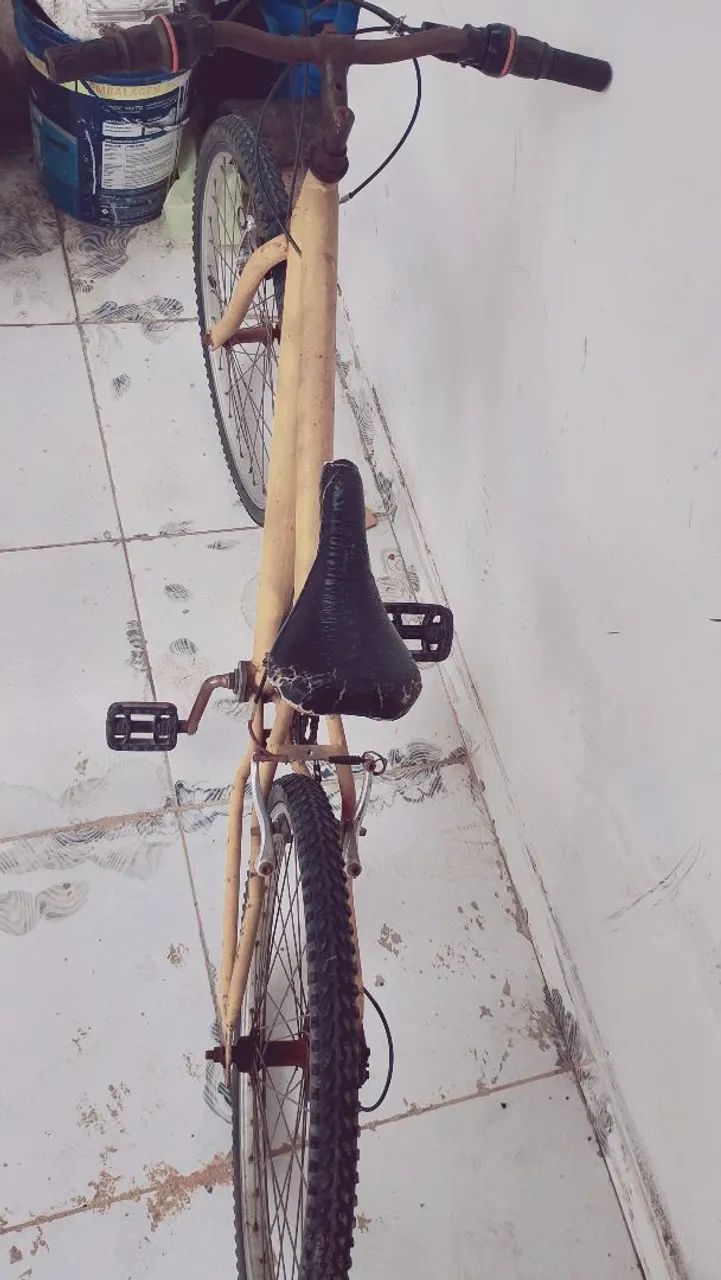 Bicicleta  - Foto 2