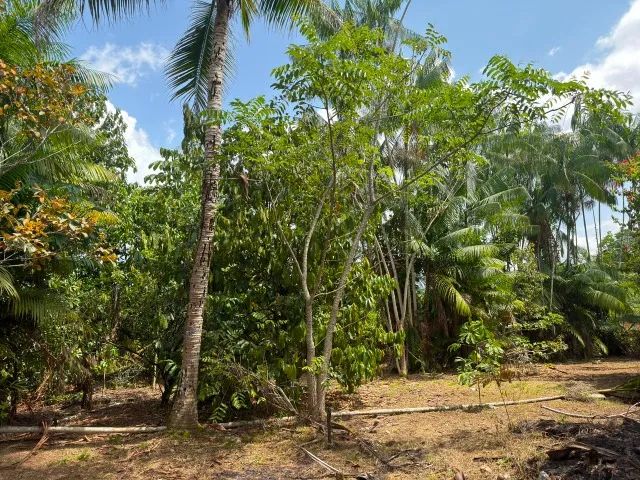 VENDE-SE TERRENO 30x80m - Foto 3