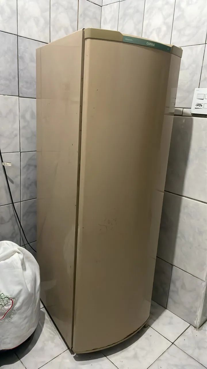 Vendo geladeira 