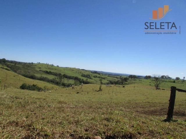 Fazenda- Venda- 8km da BR 277 - Foto 6