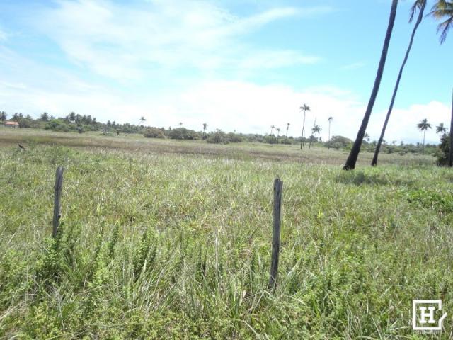 Terreno à venda - mosqueiro - Foto 7