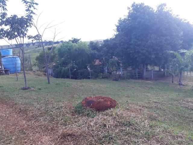 Excelente sítio de 8,64 hectare em Ponto Chic (Patos de Minas/MG) - Foto 13