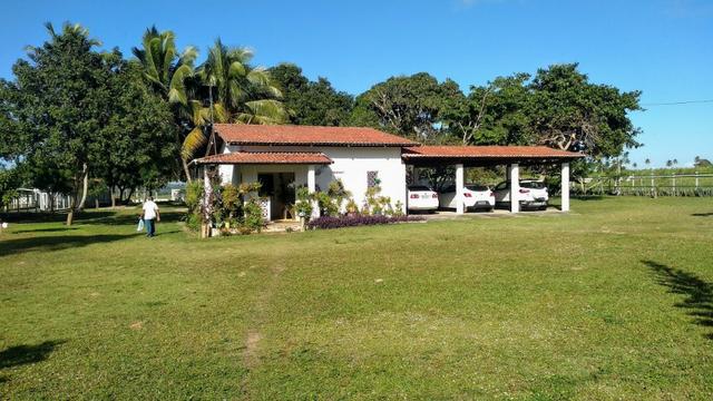 Fazenda em Monte Alegre - Com 80,52 Ha -Com Açude - Foto 2