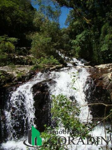 Terreno em São Jose dos Pinhais - Foto 2