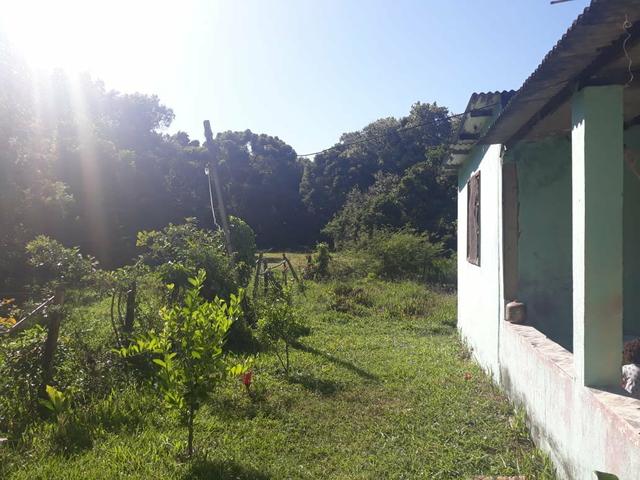 Mini sítio - Foto 3