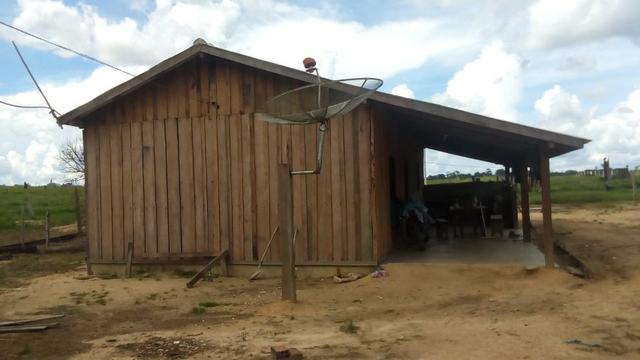 Fazenda a Venda - Mamore - Ro - Foto 3