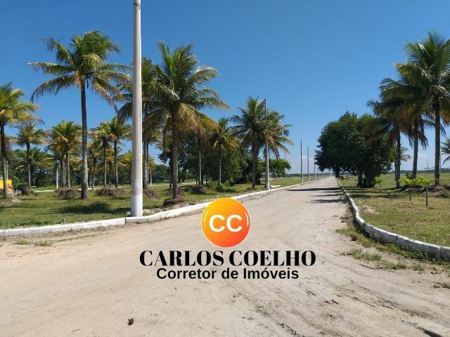 Lote no Unavida