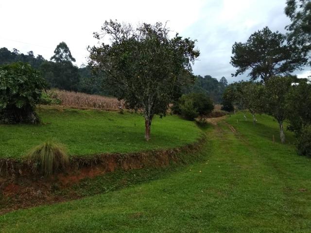 Lindo sítio em Itaiópolis - Foto 13