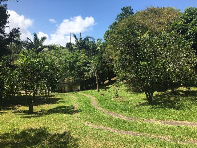 Sítio no Bairro Berto Círio - Nova Santa Rita/ RS - Foto 19