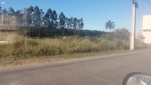 Área para venda em barra velha, vila nova - Foto 7